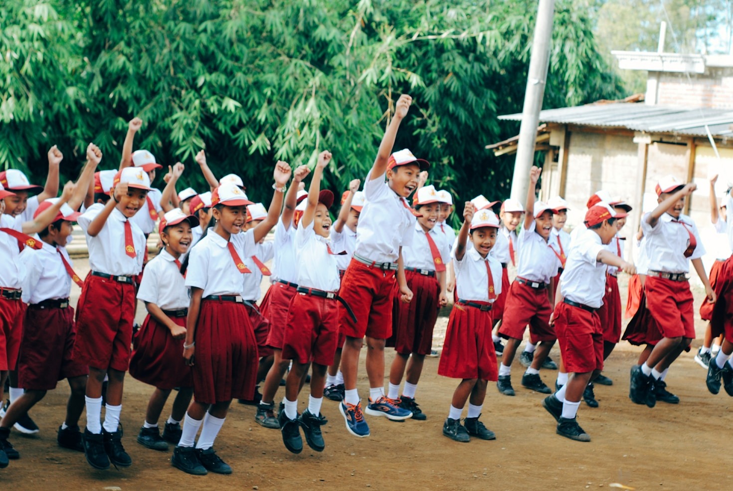 Empowering Early Childhood Development in Vulnerable Populations